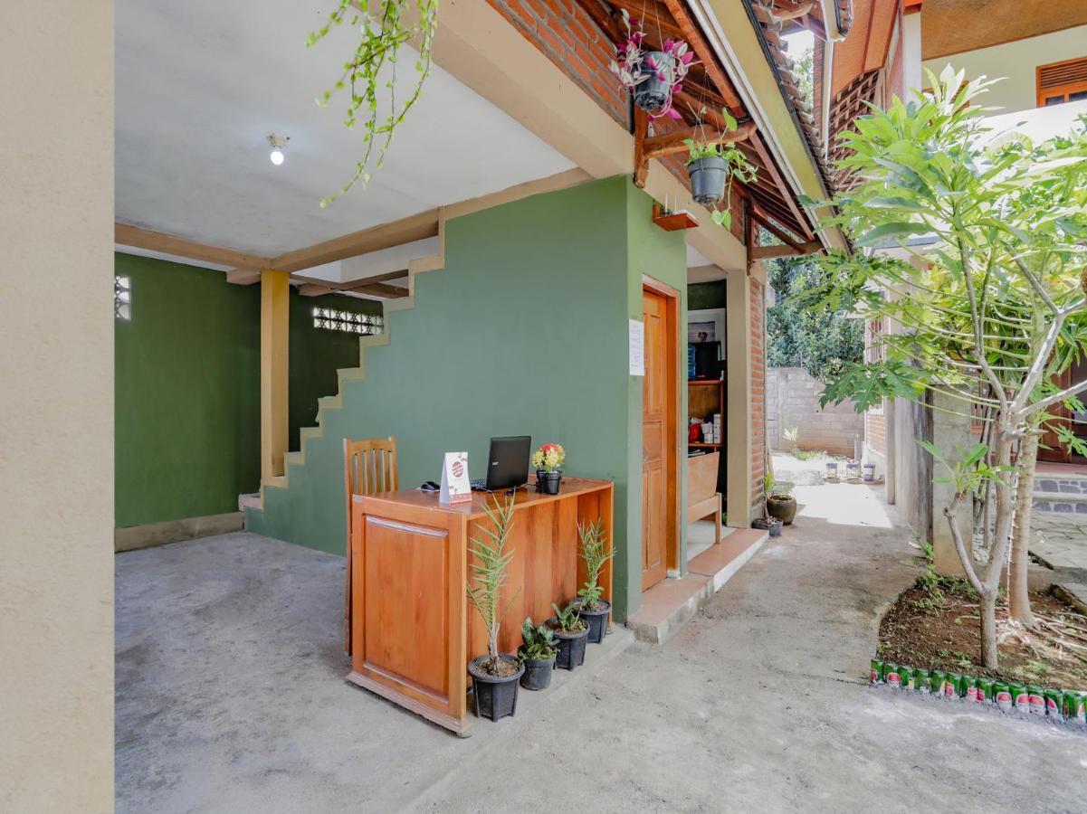 Vedanta Villa Lovina  Luaran gambar